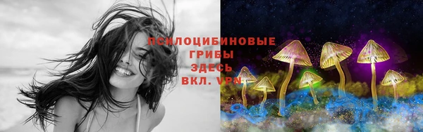 jwh Арсеньев