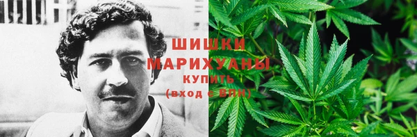 трава Богданович